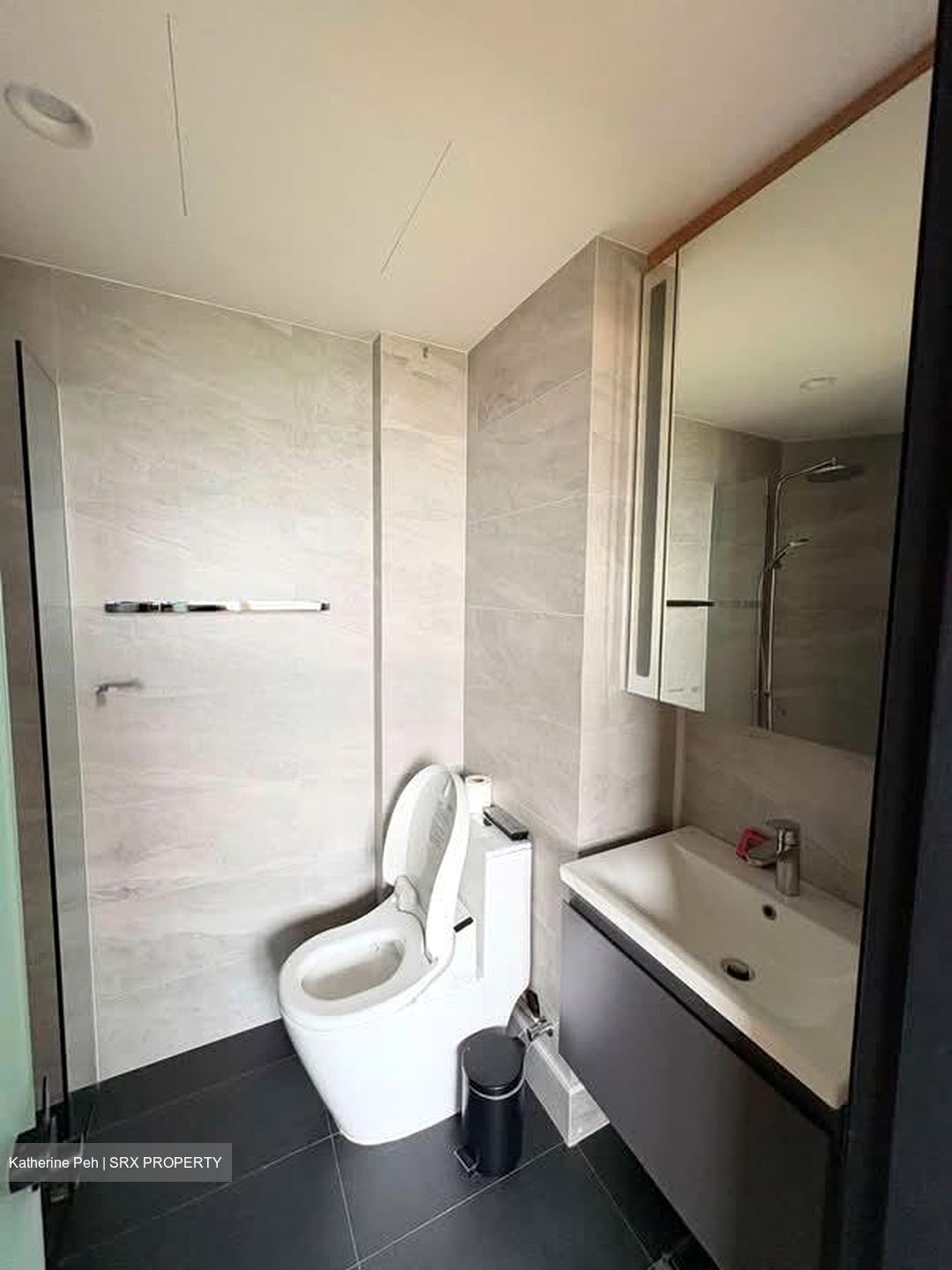 Haig 162 (D15), Apartment #553494331